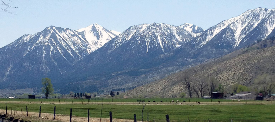 Tour of the Carson Valley 1